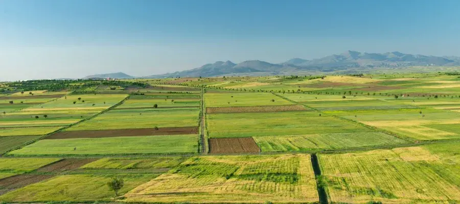 Landscape with green fields and blue sky 