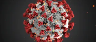 A scientifically accurate illustration of the Covid-19 virus. This visualisation was created by the CDC.
