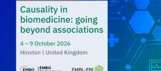A blue and green graphic displaying the course name, for illustration only