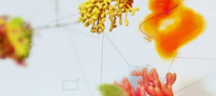 This image explores how AI can be for sustainability efforts. It was created by Dada Projects as part of the Visualising AI project launched by Google DeepMind.